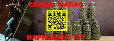 МДПВ Славянск-на-Кубани
