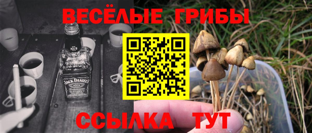 Протвино  Псилоцибиновые грибы мухоморы  Вход с VPN 